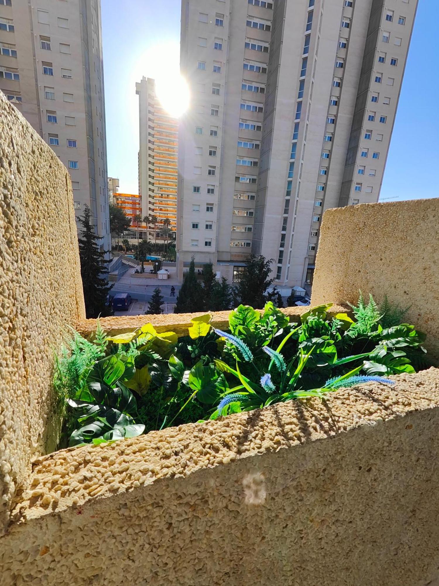 Piso Lux Mar Appartement *